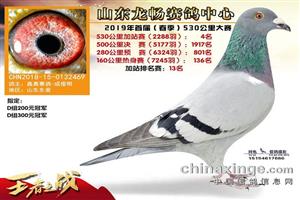 ɽ��������ƽ�������Ÿ�Э��