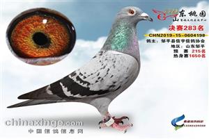 ɽ��������ƽ�������Ÿ�Э��