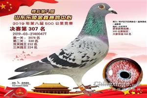 ɽ��������ƽ�������Ÿ�Э��