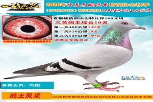 ������ͭϿ���Ÿ�Э��