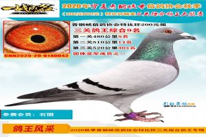 ������ͭϿ���Ÿ�Э��