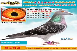 ������ͭϿ���Ÿ�Э��