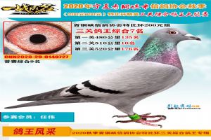 ������ͭϿ���Ÿ�Э��