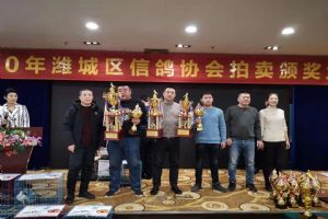 Ϋ����Ϋ�����Ÿ�Э��