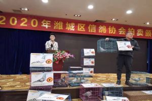 Ϋ����Ϋ�����Ÿ�Э��