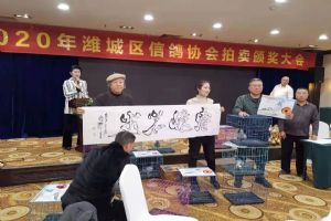 Ϋ����Ϋ�����Ÿ�Э��