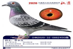 �˳����Ÿ�Э��