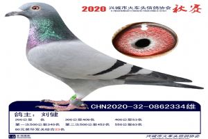 �˳����Ÿ�Э��