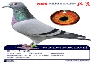 �˳����Ÿ�Э��