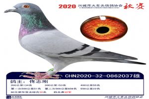 �˳����Ÿ�Э��