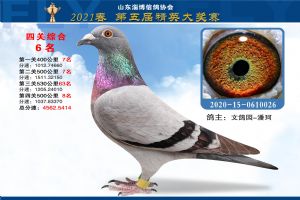 ɽ���Ͳ����Ÿ�Э��