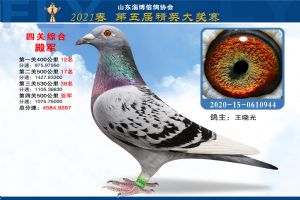 ɽ���Ͳ����Ÿ�Э��