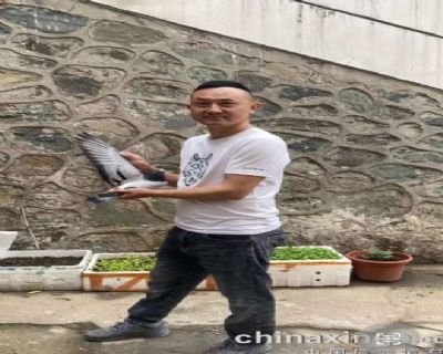 ʮ�����������Ÿ�Э��