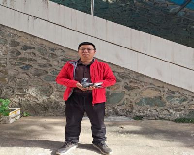 ʮ�����������Ÿ�Э��