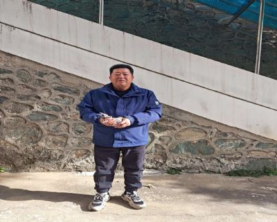 ʮ�����������Ÿ�Э��