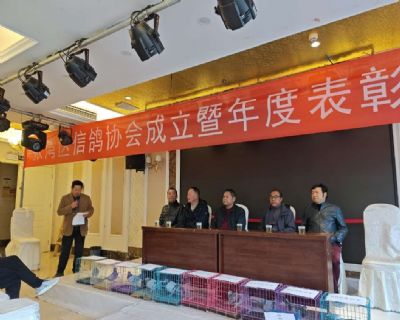 ʮ�����������Ÿ�Э��