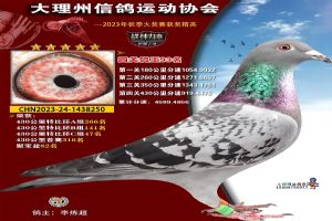 ���ϴ������Ÿ�Э��