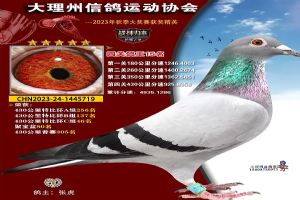 ���ϴ������Ÿ�Э��