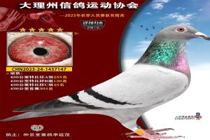 ���ϴ������Ÿ�Э��