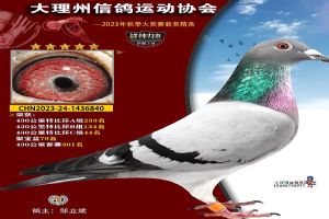 ���ϴ������Ÿ�Э��