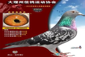 ���ϴ������Ÿ�Э��