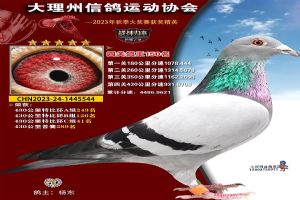 ���ϴ������Ÿ�Э��