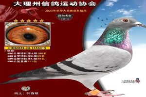 ���ϴ������Ÿ�Э��