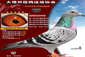 ���ϴ������Ÿ�Э��