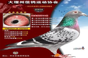 ���ϴ������Ÿ�Э��