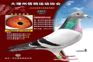 ���ϴ������Ÿ�Э��