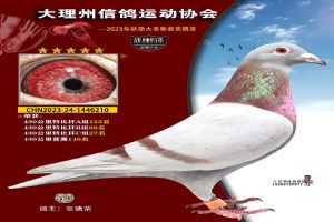 ���ϴ������Ÿ�Э��