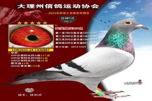 ���ϴ������Ÿ�Э��