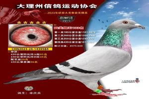 ���ϴ������Ÿ�Э��