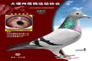 ���ϴ������Ÿ�Э��