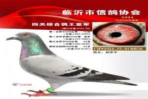 ɽ��ʡ�������Ÿ�Э��