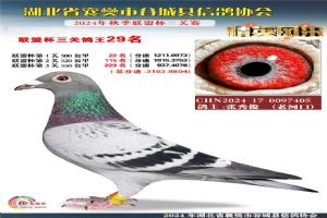 ����ʡ�差�йȳ����Ÿ�Э��