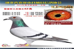 ����ʡ�差�йȳ����Ÿ�Э��