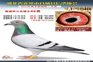 ����ʡ�差�йȳ����Ÿ�Э��