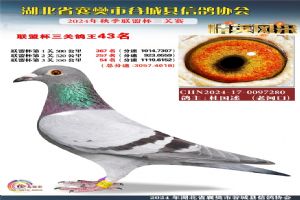 ����ʡ�差�йȳ����Ÿ�Э��