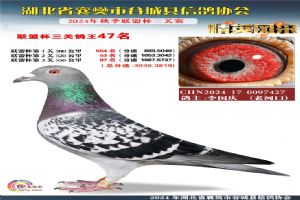 ����ʡ�差�йȳ����Ÿ�Э��