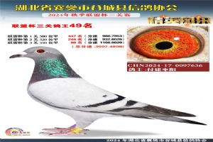 ����ʡ�差�йȳ����Ÿ�Э��