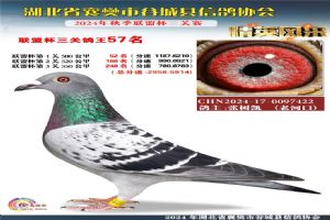 ����ʡ�差�йȳ����Ÿ�Э��