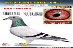 ����ʡ�差�йȳ����Ÿ�Э��