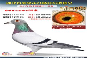 ����ʡ�差�йȳ����Ÿ�Э��