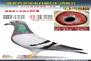 ����ʡ�差�йȳ����Ÿ�Э��