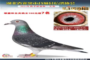 ����ʡ�差�йȳ����Ÿ�Э��