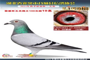 ����ʡ�差�йȳ����Ÿ�Э��