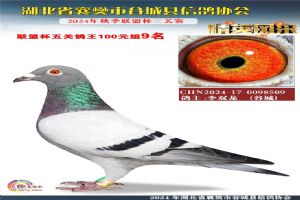 ����ʡ�差�йȳ����Ÿ�Э��