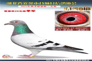 ����ʡ�差�йȳ����Ÿ�Э��