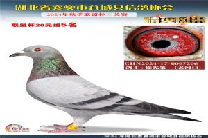 ����ʡ�差�йȳ����Ÿ�Э��